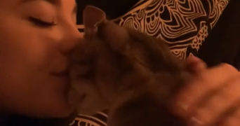 jeanne pet sitter à LILLE 59800_4