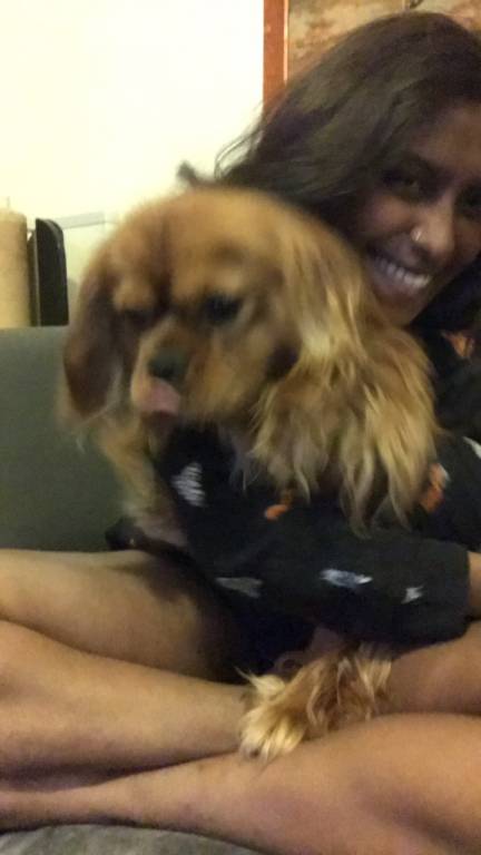 diane pet sitter à TROYES 10000_6