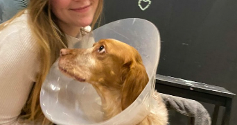 sarah pet sitter à TREMBLAY EN FRANCE 93290_3