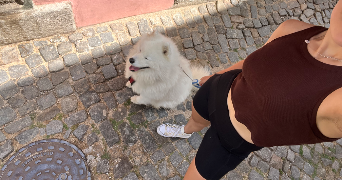 luna pet sitter à AUSSEVIELLE 64230_3