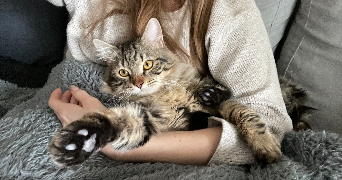zoé pet sitter à CASTELNAU LE LEZ 34170_5