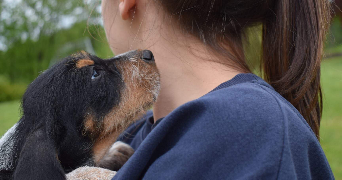 Julie dog sitter à TOULOUSE 31300_1