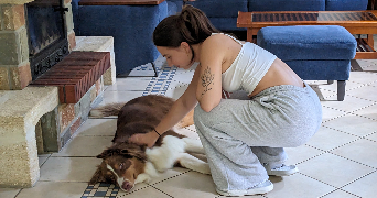 noémy pet sitter à Egly 91520_1