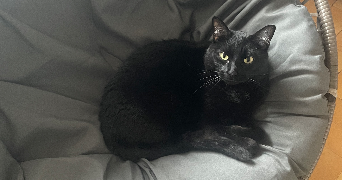aurélie pet sitter à Annecy 74000_4