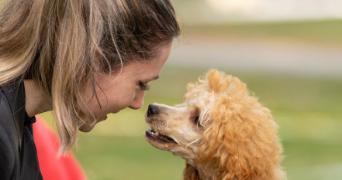 alice pet sitter à LANGRUNE SUR MER 14830_1