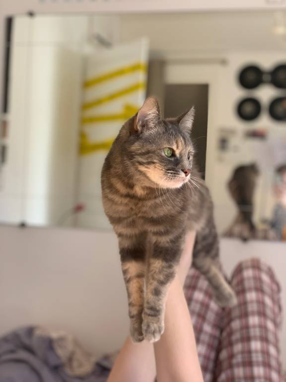 claudie pet sitter à Le Grand-Bornand 74550_6