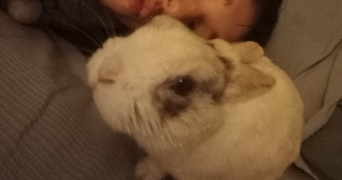juliette pet sitter à ISSY LES MOULINEAUX 92130_3