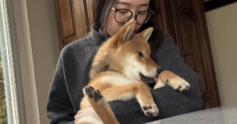 emmy dog sitter à ISSY LES MOULINEAUX 92130_2