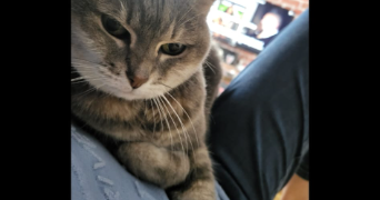 anaïs pet sitter à ST MAURICE 94410_3