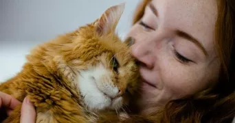 amandine pet sitter à WATTIGNIES 59139