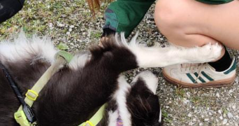 alix pet sitter à MARSEILLE 09 13009_2