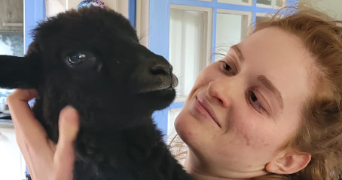 lila pet sitter à PLUMELEC 56420_1