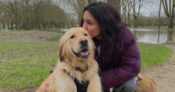 toumanari dog sitter à SARTROUVILLE 78500_0