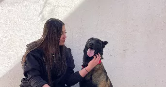 riham pet sitter à VALENCE 26000