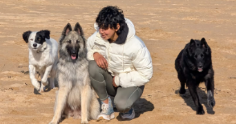 césaria pet sitter à DINARD 35800_4