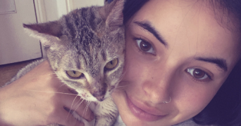 ines pet sitter à RONCHIN 59790_1