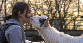 emilou pet sitter à COLONNE 39800_1