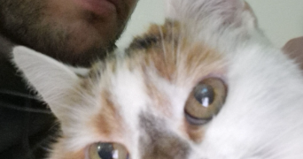 nicolas pet sitter à LIVRY-GARGAN 93190_0