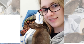 sophie pet sitter à LOON PLAGE 59279_1