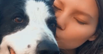 marilyne pet sitter à VOGELGRUN 68600_1