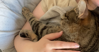 fleur pet sitter à NANCY 54000_2