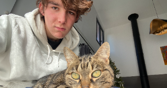 nikita pet sitter à MONDONVILLE 31700_2