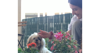 ambre pet sitter à BORDEAUX 33800_1