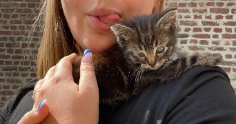 lisa pet sitter à LILLE 59000_4