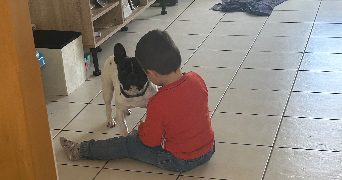 aurelie pet sitter à MIRAMONT DE GUYENNE 47800_1