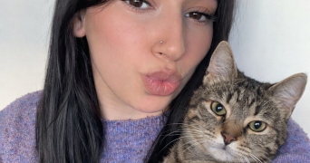 inssaf pet sitter à PONTOISE 95300_0