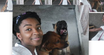 miyala pet sitter à ST ETIENNE 42000_0