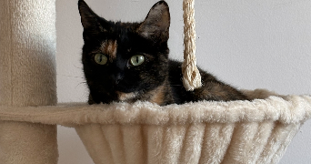 océane pet sitter à CAEN 14000_4