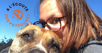 candy pet sitter à ABANCOURT 59268_3