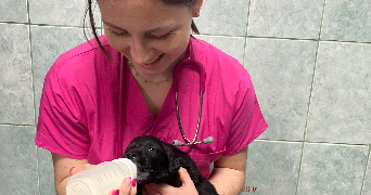 clémence pet sitter à MONTPELLIER 34070_4