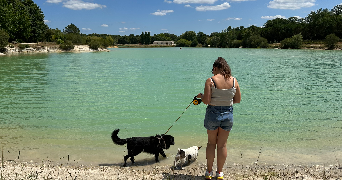 elodie pet sitter à FONTENAY LE PESNEL 14250_2