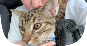 aurianne pet sitter à ST MARTIN LE NOEUD 60000_2