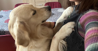 julia pet sitter à PARIS 12 75012_4
