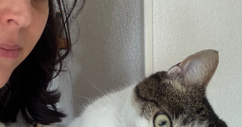 sophie pet sitter à MERIGNAC 33700_1