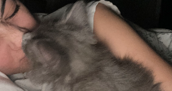 béryl pet sitter à TOULOUSE 31100_3