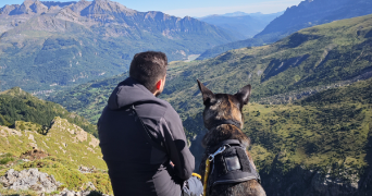 theo pet sitter à TOUTLEMONDE 49360_0