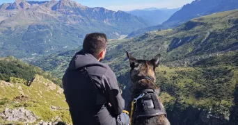 theo pet sitter à TOUTLEMONDE 49360