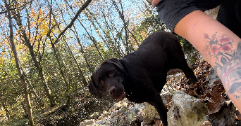 diane pet sitter à ST ISMIER 38330_1