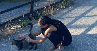 mahé pet sitter à PARIS 12 75012_3