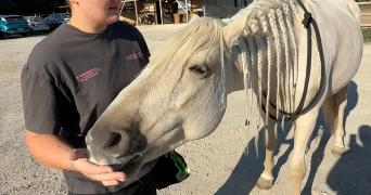 alizée pet sitter à ST HILAIRE DE BRETHMAS 30560_3