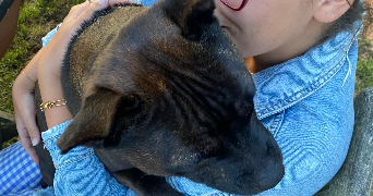 timéa dog sitter à BLET 18350_0