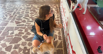 sarah pet sitter à LE MANS 72000_1
