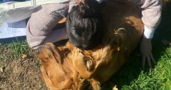 chloé pet sitter à BANNAY 18300_1