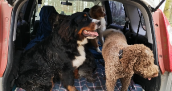 annabelle pet sitter à MARSEILLE 05 13005_7