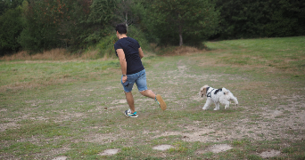 alexandra dog sitter à LA GARENNE COLOMBES 92250_2