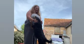 flavy pet sitter à LA CHAPELLE ST LUC 10600